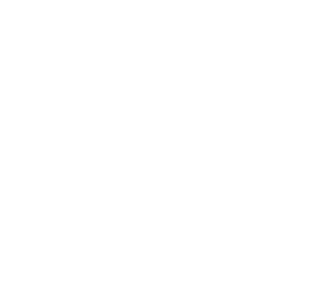 Ls-lesotris